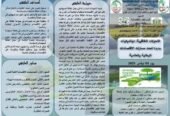 التحولات الطاقوية: ديناميكيات جديدة تحدد مسارات الاقتصادات الوطنية والعالمية